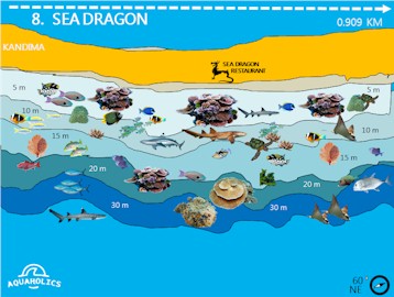 Sea Dragon Wall